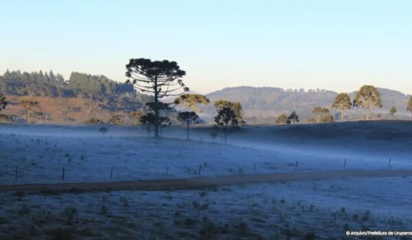 Massa de ar frio provoca queda de temperatura e geada no Sul do país